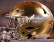 Notre Dame Fighting Irish