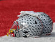 Ohio State Buckeyes