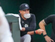 New York Yankees