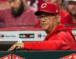 Cincinnati Reds