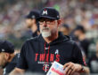 Minnesota Twins