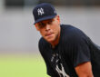 Aaron Judge, New York Yankees