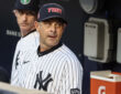 New York Yankees