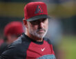 Arizona Diamondbacks