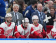 Detroit Red Wings