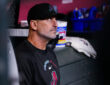 Arizona Diamondbacks
