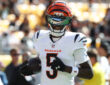 Tee Higgins, Cincinnati Bengals