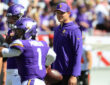 Minnesota Vikings