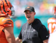 Bengals