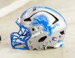 Detroit Lions