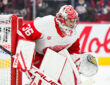 John Gibson, Detroit Red Wings
